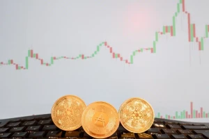 ارتفاع سعر عملة البيتكوين كاش بنسبة 35% خلال شهر بينما ارتفعت أسعار كاردانو بنسبة 180%