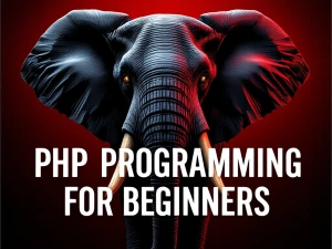 Die besten PHP-Frameworks für 2024: Steigerung der Webentwicklung